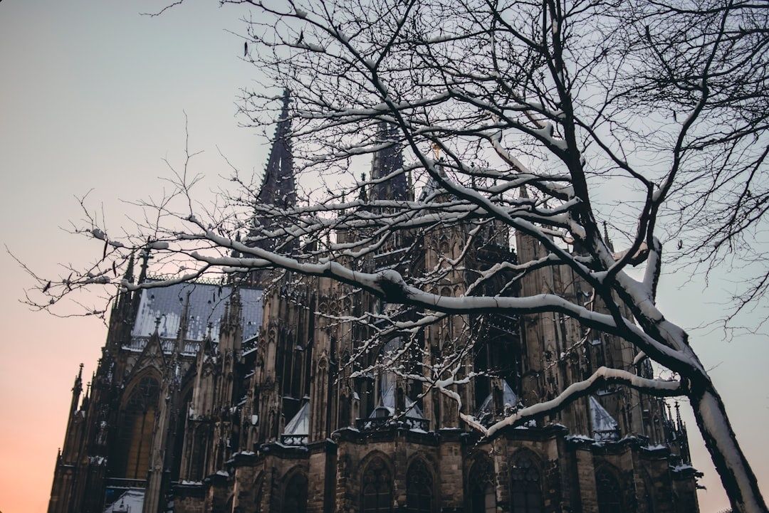 Verschneite gotische Backsteinkirche hinter kahlen Baumästen
