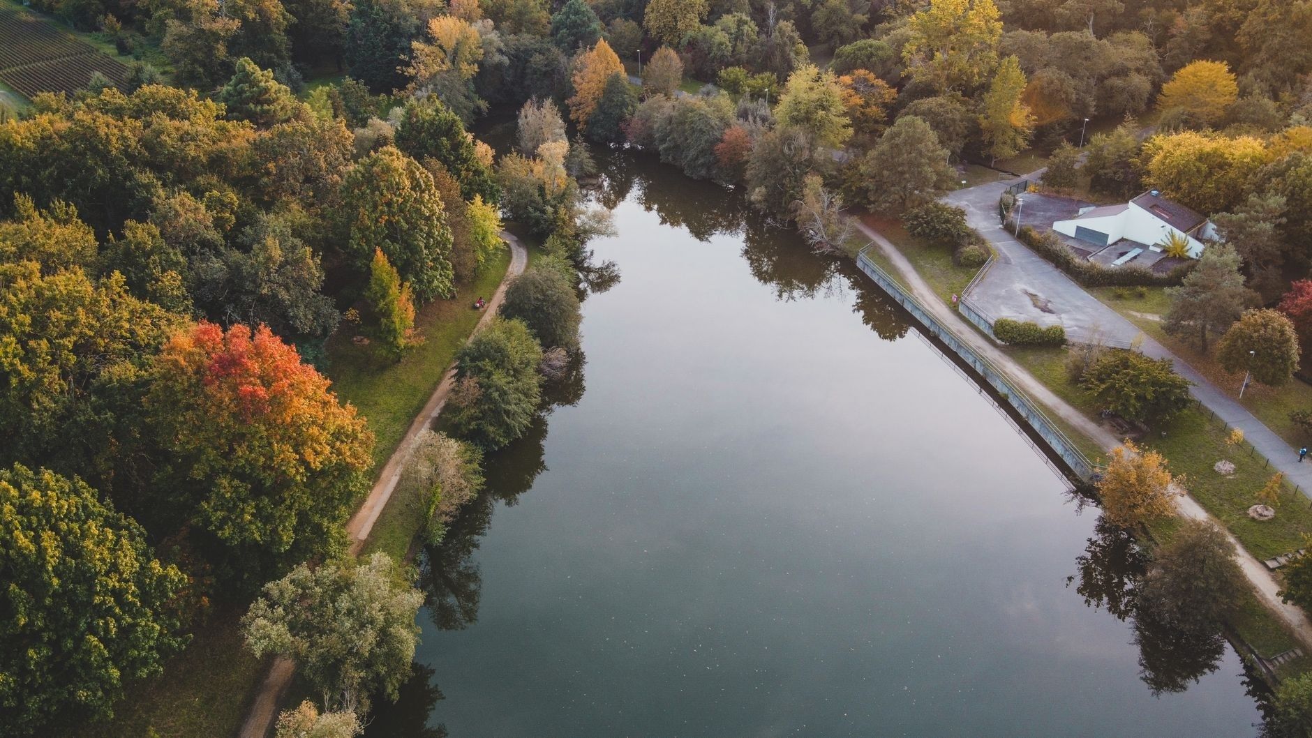 Luftaufnahme eines herbstlichen Sees mit Uferwegen und dichtem Wald