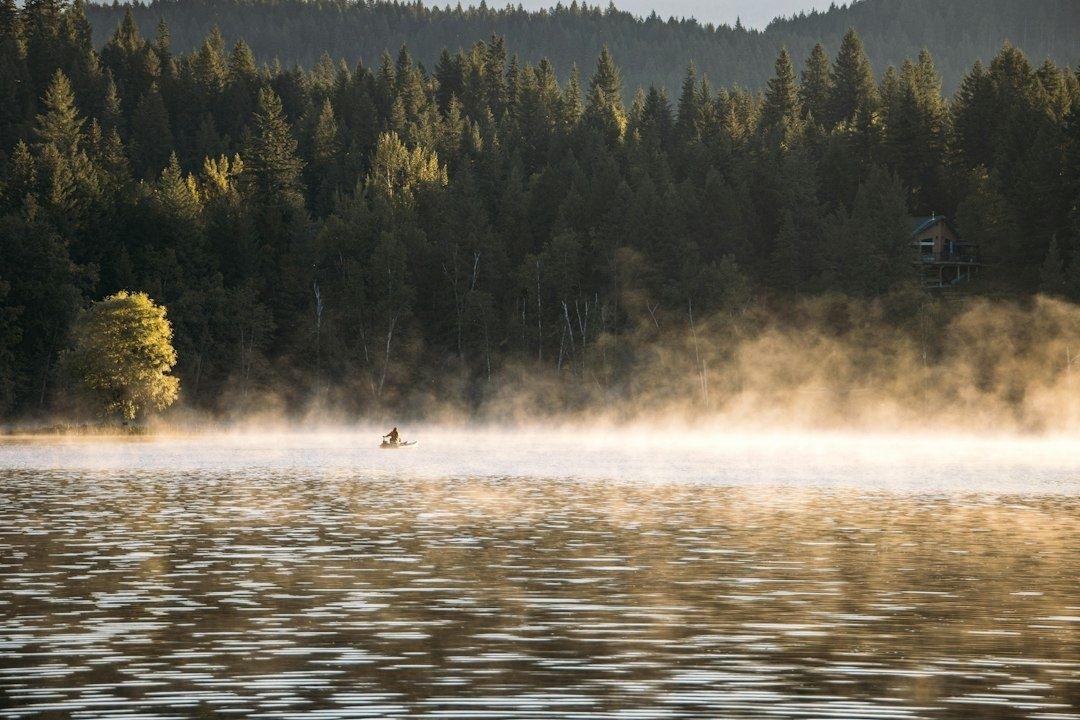 Kajakfahrer auf einem nebelverhangenen Waldsee am frühen Morgen