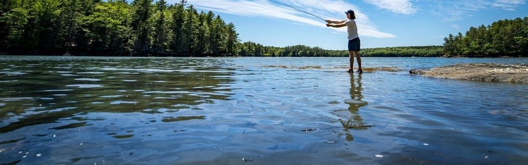 Person steht mit Paddel im flachen Wasser einer bewaldeten Bucht